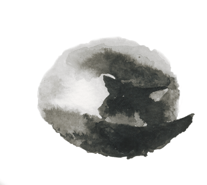 Logo cat